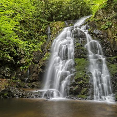 Hidden Memories, Hot Tub, 1089 Of Free Attraction Tickets For Each Paid Day, Dollywood And More Gatlinburg Zewnętrze zdjęcie