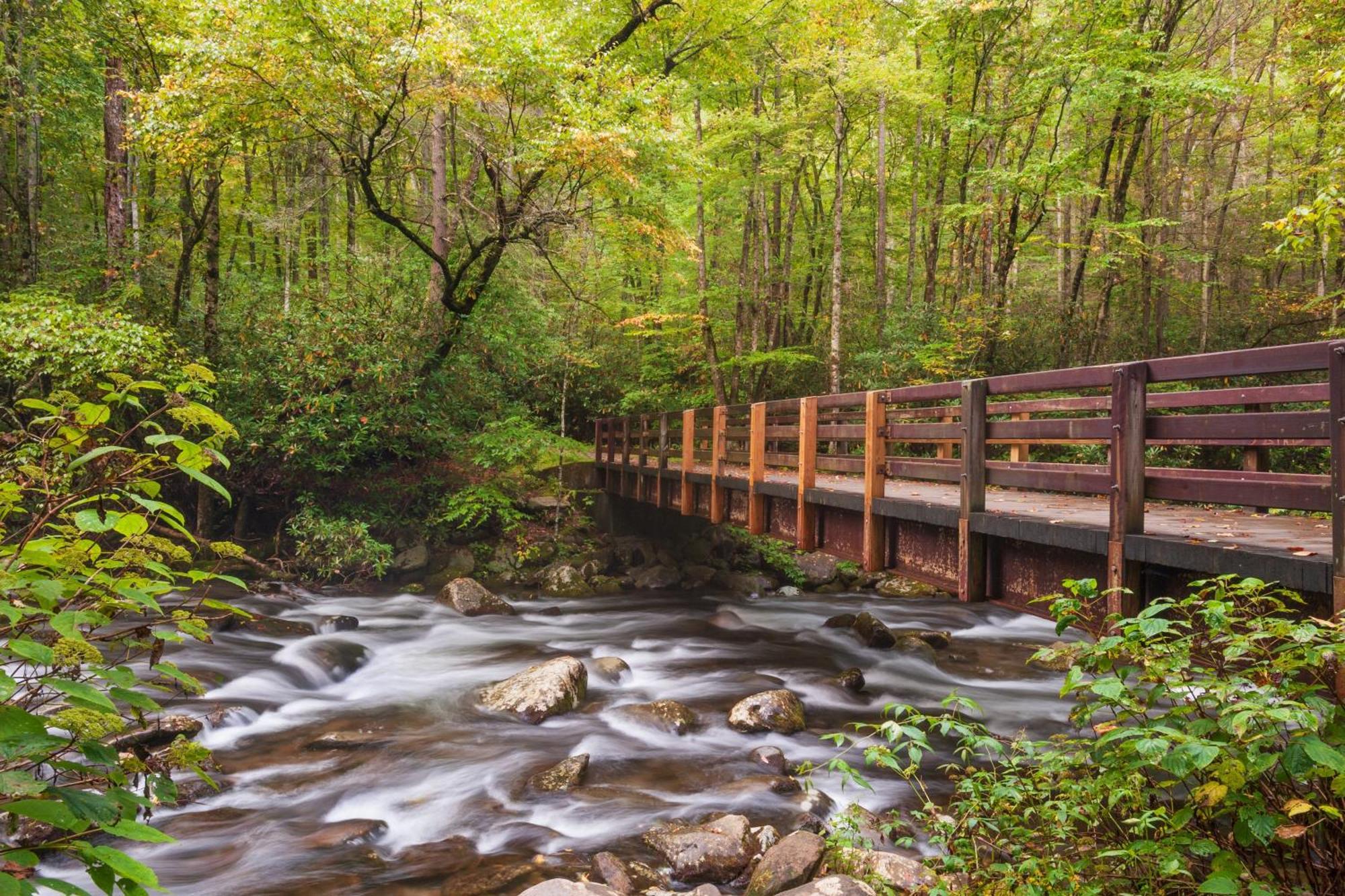 Hidden Memories, Hot Tub, 1089 Of Free Attraction Tickets For Each Paid Day, Dollywood And More Gatlinburg Zewnętrze zdjęcie